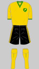 norwich city 2009 fa cup 50th anniversary kit